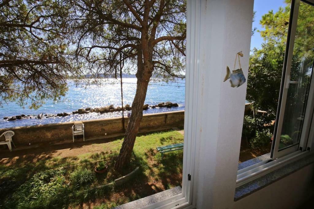 Seafront Beach Apartment - Directly At The Beach Zára Kültér fotó